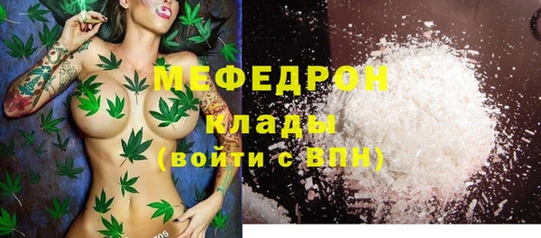 крисы Бородино