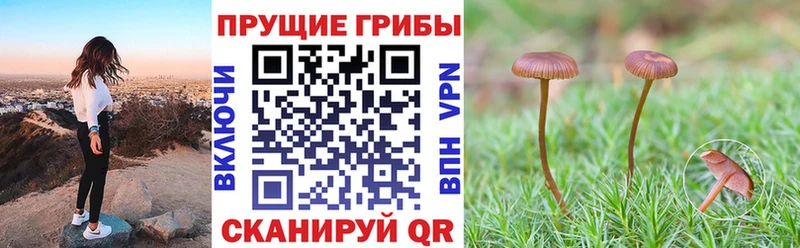Купить  Лукоянов  Галлюциногенные грибы мухоморы 
